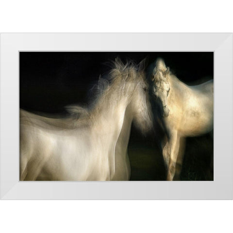 Grace White Modern Wood Framed Art Print by Malovrh, Milan