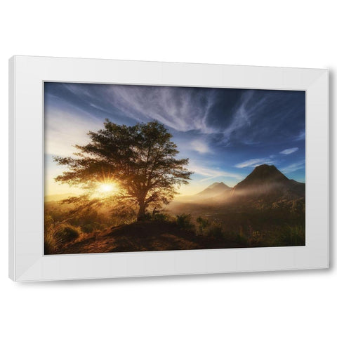 Pinggan Tree. White Modern Wood Framed Art Print by Pablo De, Juan