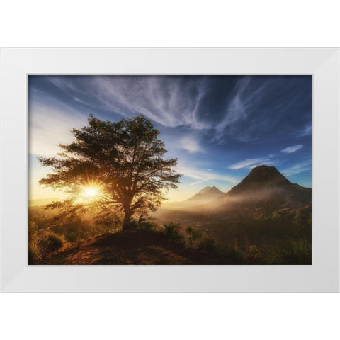 Pinggan Tree. White Modern Wood Framed Art Print by Pablo De, Juan