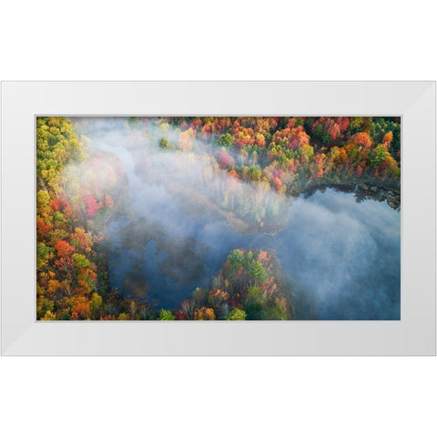 Autumn Symphony I White Modern Wood Framed Art Print by Fan, John