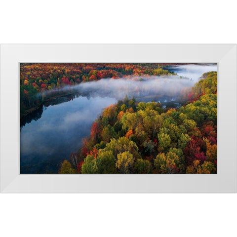 Autumn Symphony Ii White Modern Wood Framed Art Print by Fan, John