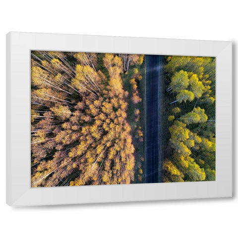 Divide White Modern Wood Framed Art Print by Xu, Mei