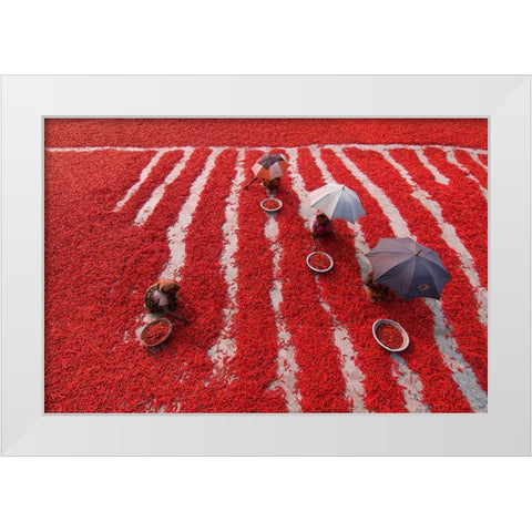 Red Chilies Pickers White Modern Wood Framed Art Print by Khan Ronnie, Azim