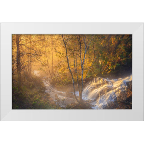 First Light White Modern Wood Framed Art Print by Askeland, Rune