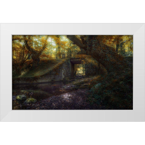 Ucieda White Modern Wood Framed Art Print by Antonio Cobo, Marco