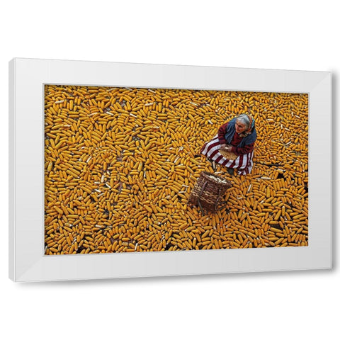 Corn Apap White Modern Wood Framed Art Print by Zengin, Mustafa