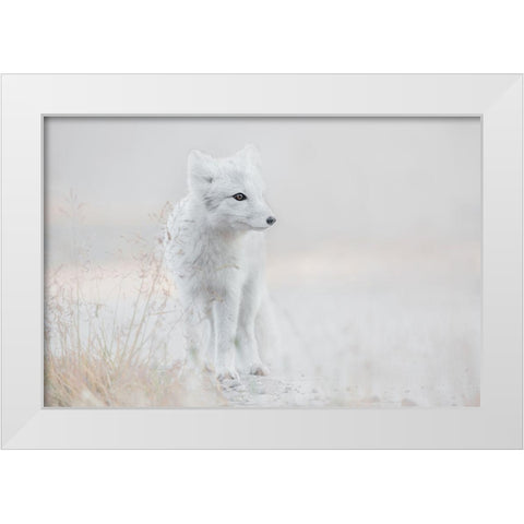 Looking Around White Modern Wood Framed Art Print by De Hoog, Roelof