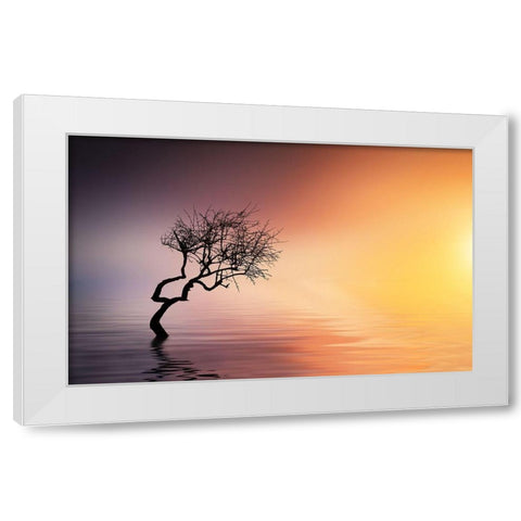 Tree At Lake White Modern Wood Framed Art Print by Hamiti, Bess