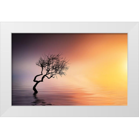 Tree At Lake White Modern Wood Framed Art Print by Hamiti, Bess