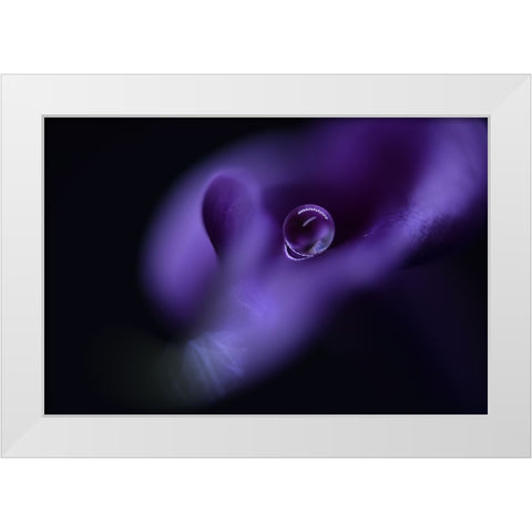 Kalas Pearl White Modern Wood Framed Art Print by Westum, Heidi