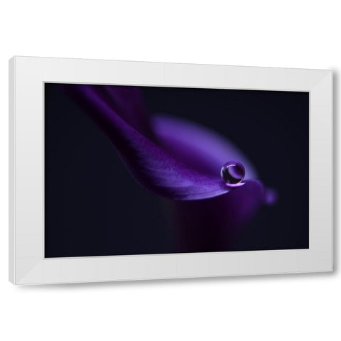 Kalas Pearl LL White Modern Wood Framed Art Print by Westum, Heidi