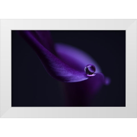 Kalas Pearl LL White Modern Wood Framed Art Print by Westum, Heidi