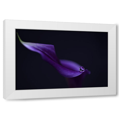 Kala`S Pearl Lll White Modern Wood Framed Art Print by Westum, Heidi