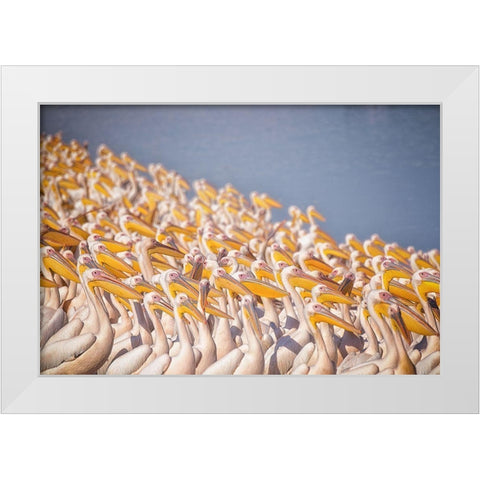 Untitled White Modern Wood Framed Art Print by Or, Keren