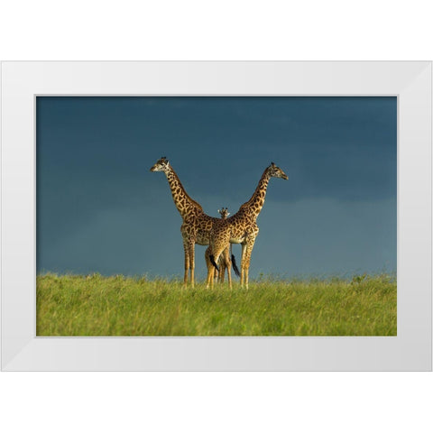 Between The Two White Modern Wood Framed Art Print by Mei, Massimo