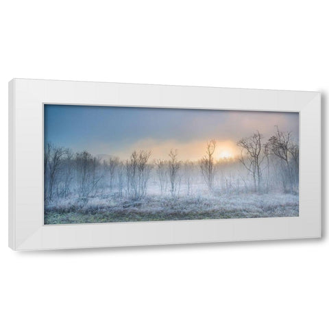 A Touch Of Winter White Modern Wood Framed Art Print by Jochen, Burger