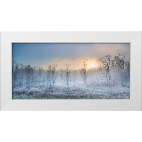 A Touch Of Winter White Modern Wood Framed Art Print by Jochen, Burger