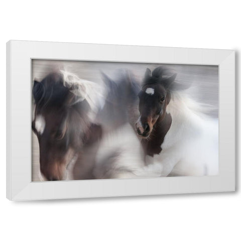 Runaway Horse White Modern Wood Framed Art Print by Benezech, Martine