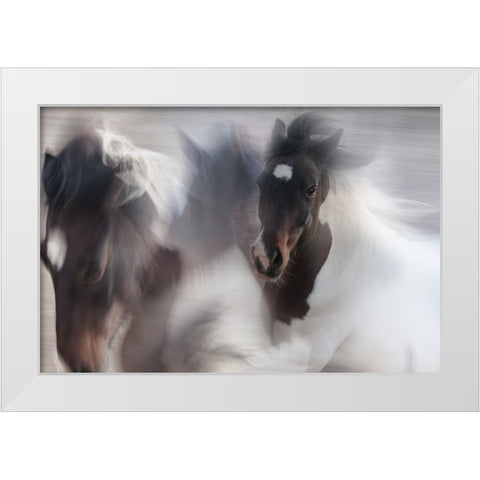 Runaway Horse White Modern Wood Framed Art Print by Benezech, Martine