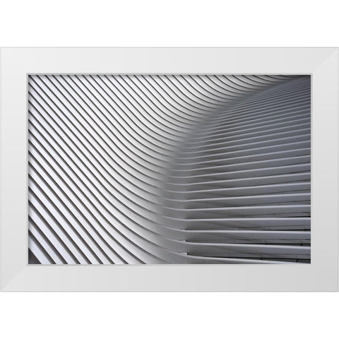 Calatrava Curves # 2 White Modern Wood Framed Art Print by Wride, Linda