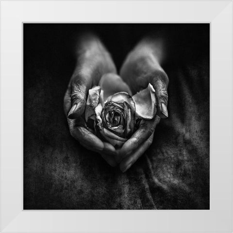 Caring Hands White Modern Wood Framed Art Print by Zadshir, Nima