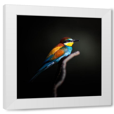 Colorful Darkly White Modern Wood Framed Art Print by Fegari