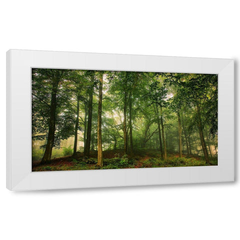 Welcome In The Forest. White Modern Wood Framed Art Print by Londal, Leif
