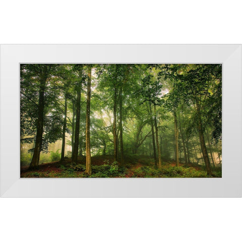 Welcome In The Forest. White Modern Wood Framed Art Print by Londal, Leif