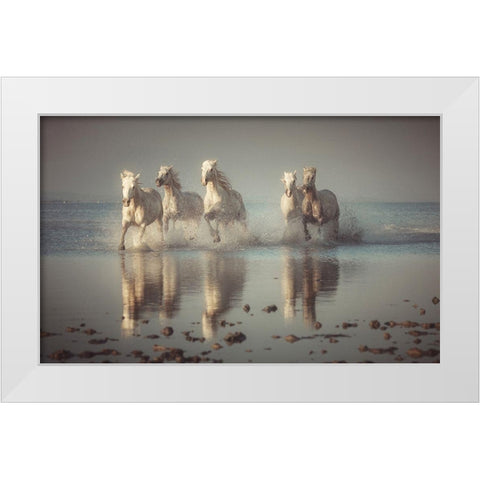 Camargue Horses White Modern Wood Framed Art Print by Anton, Rostovskiy