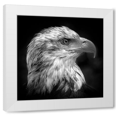 Majestic White Modern Wood Framed Art Print by Pfeiffer, Peter