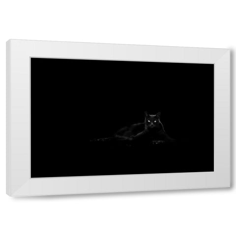 Cat White Modern Wood Framed Art Print by Ljubicic, Dusan