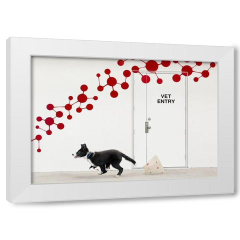 Escape At The Vet White Modern Wood Framed Art Print by Hammer, Jacqueline