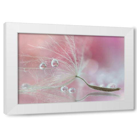 Two Of Us White Modern Wood Framed Art Print by Barbieri, Rina