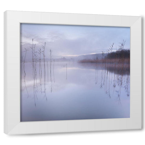 Untitled White Modern Wood Framed Art Print by Ahern, David