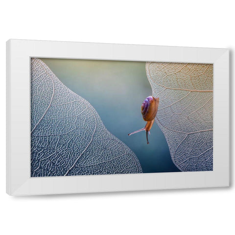 Want To Cross White Modern Wood Framed Art Print by Baihaki, Ahmad
