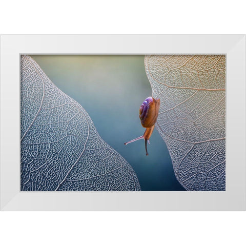 Want To Cross White Modern Wood Framed Art Print by Baihaki, Ahmad