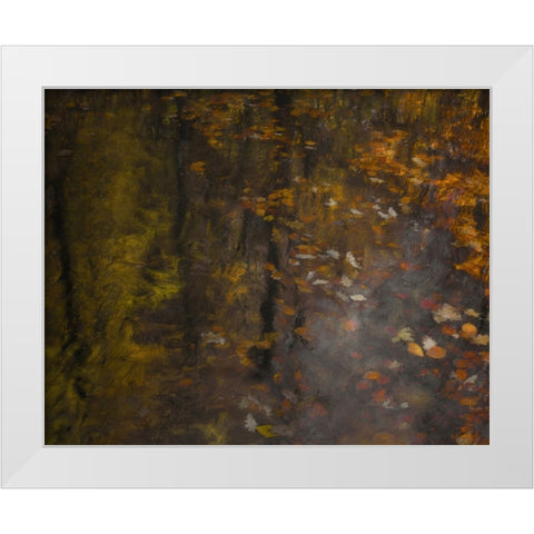 Autumn Impression White Modern Wood Framed Art Print by Talen, Nel