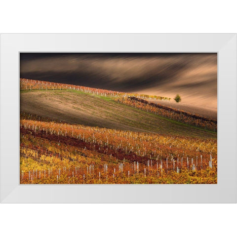 Line And Vine White Modern Wood Framed Art Print by Sokolovsky, Vlad