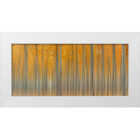 Autumn Delight White Modern Wood Framed Art Print by Jacobs, Lydia