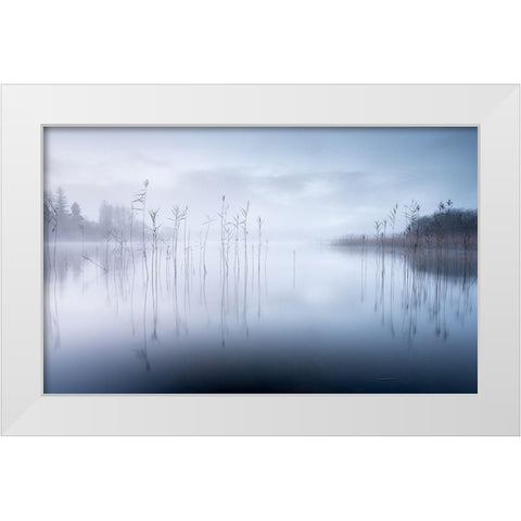 Untitled White Modern Wood Framed Art Print by Ahern, David