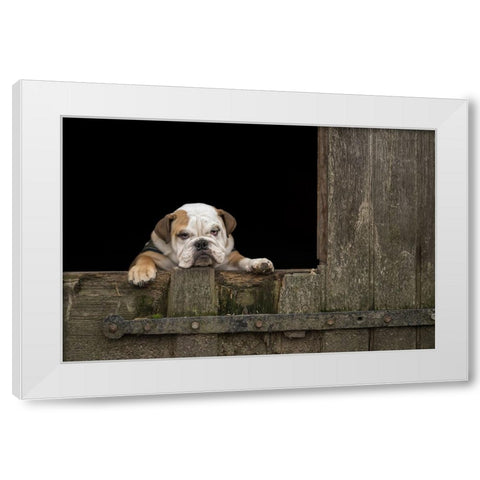 Got That Monday Feeling... White Modern Wood Framed Art Print by van den, Gert