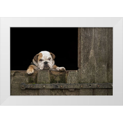 Got That Monday Feeling... White Modern Wood Framed Art Print by van den, Gert