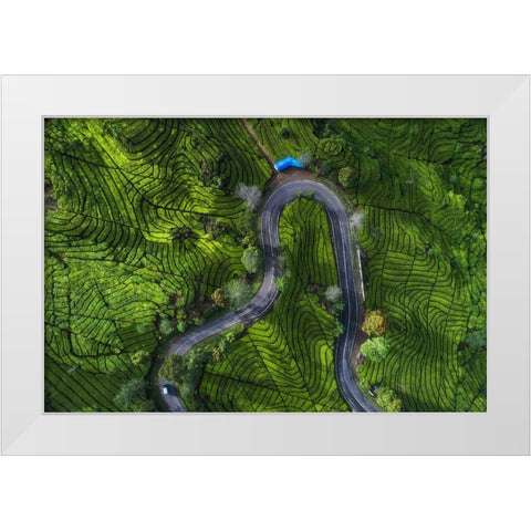 Indonesia - Rancabali Tea Aerial White Modern Wood Framed Art Print by Claude Castor, Jean