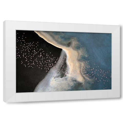 Wave Runner Iv White Modern Wood Framed Art Print by Fan, John