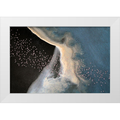Wave Runner Iv White Modern Wood Framed Art Print by Fan, John