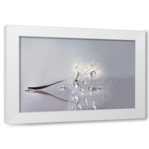 Silver White Modern Wood Framed Art Print by Barbieri, Rina