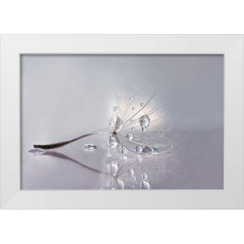 Silver White Modern Wood Framed Art Print by Barbieri, Rina