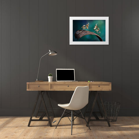 Alien Encounter White Modern Wood Framed Art Print by Hoffman, Jimmy
