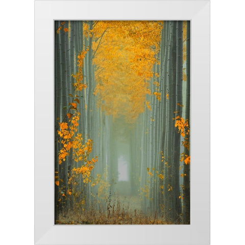 Misty Autumn Path White Modern Wood Framed Art Print by Jacobs, Lydia