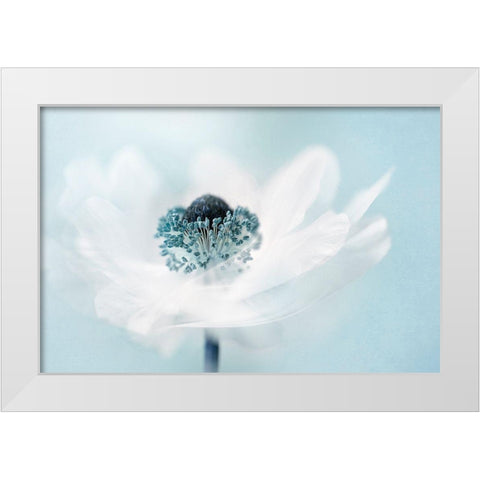 Candy Floss White Modern Wood Framed Art Print by Parker, Jacky